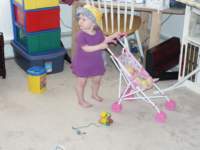 Photo Number 13