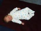 sleepinginahothouse_small.jpg