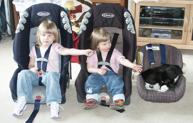 therestofthefamily.jpg